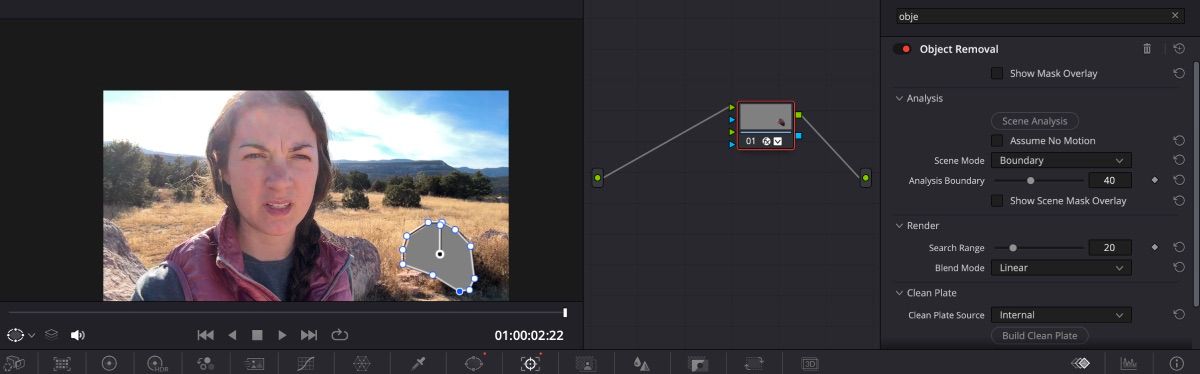 /sv/images/using-object-remover-on-davinci-resolve.jpeg