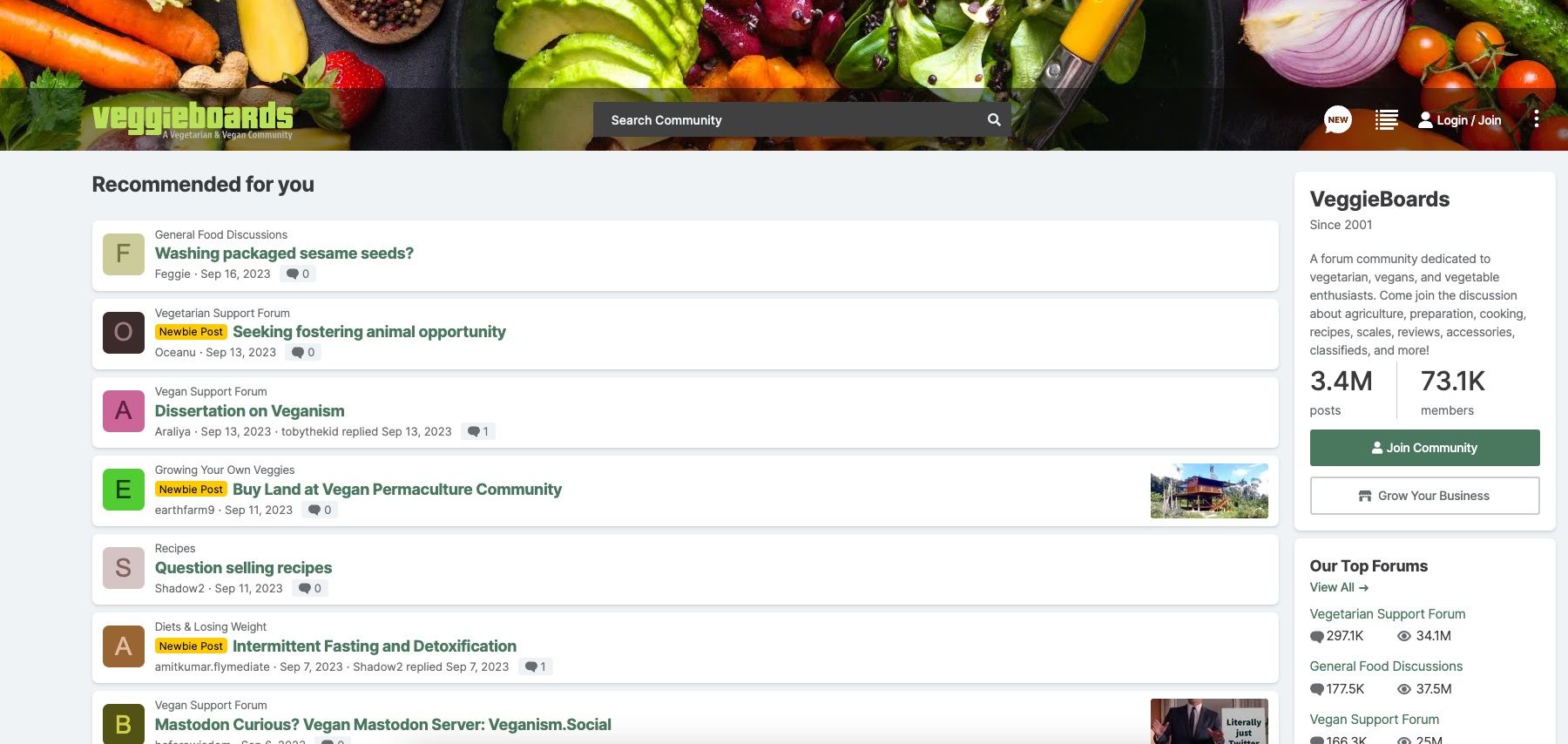 /sv/images/veggie-boards-website-screenshot.jpg