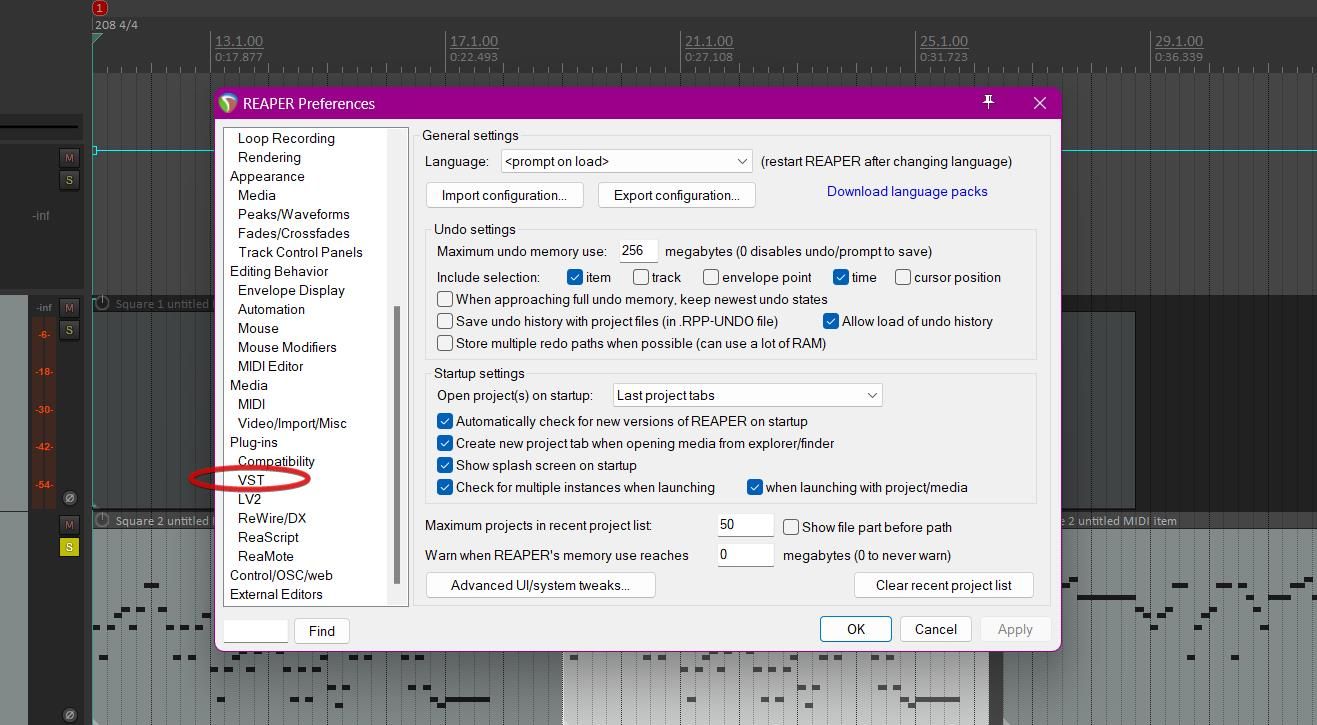 /sv/images/vst-settings-location-in-reaper.jpg