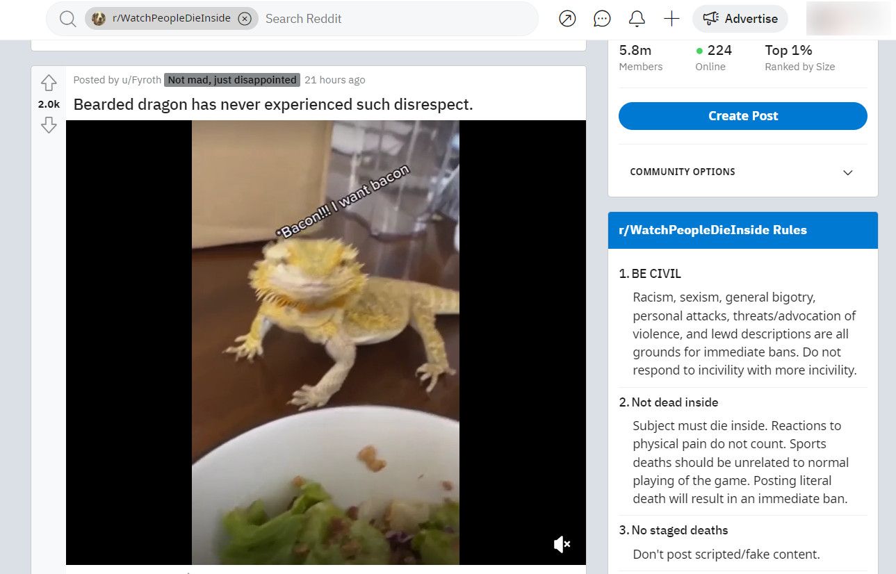 /sv/images/watchpeopledieinside.jpg