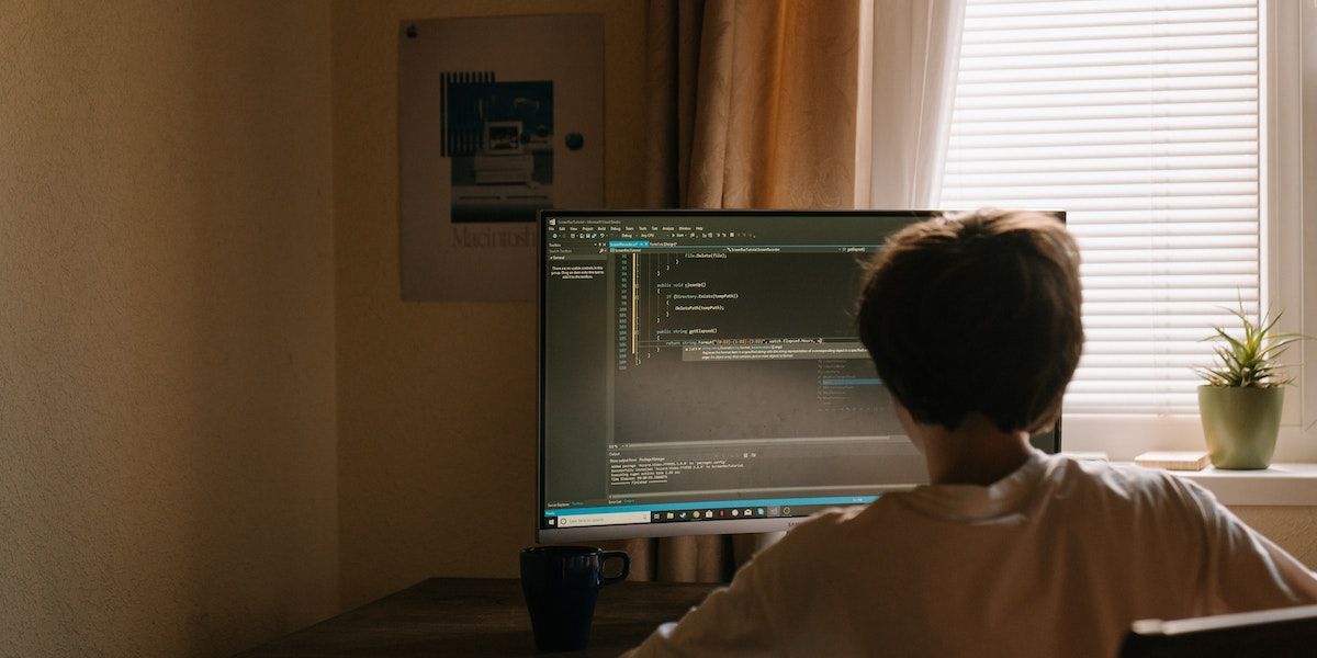 /sv/images/work-from-home-web-developer.jpg