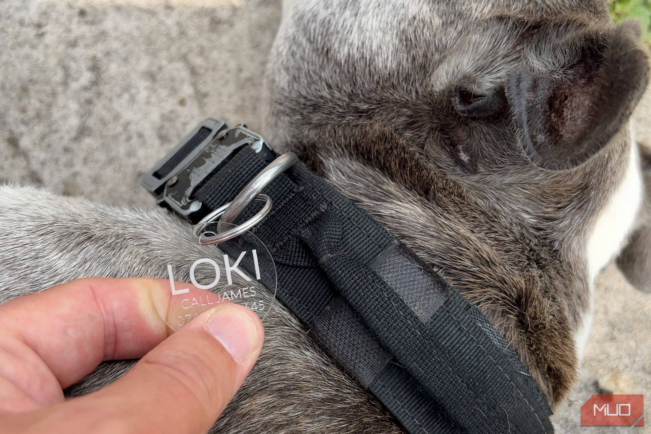 /sv/images/xtool-p2-example-dog-tag-clear-acrylic.jpg