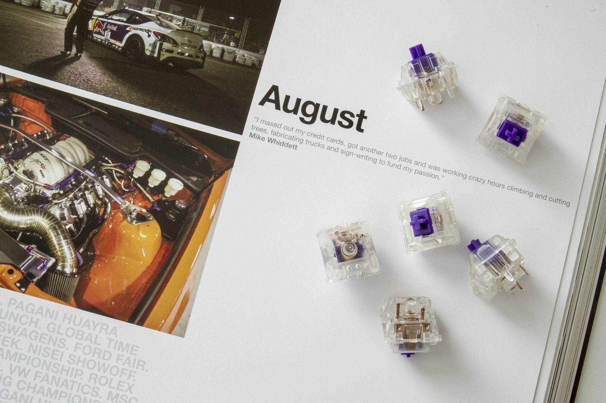 /sv/images/zealios2_2048x.jpg