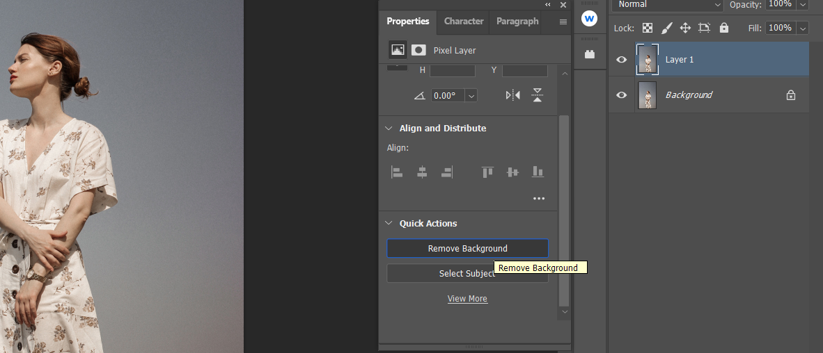 /th/images/3-Select-Remove-Background.png /th/images/3-Select-Remove-Background.png