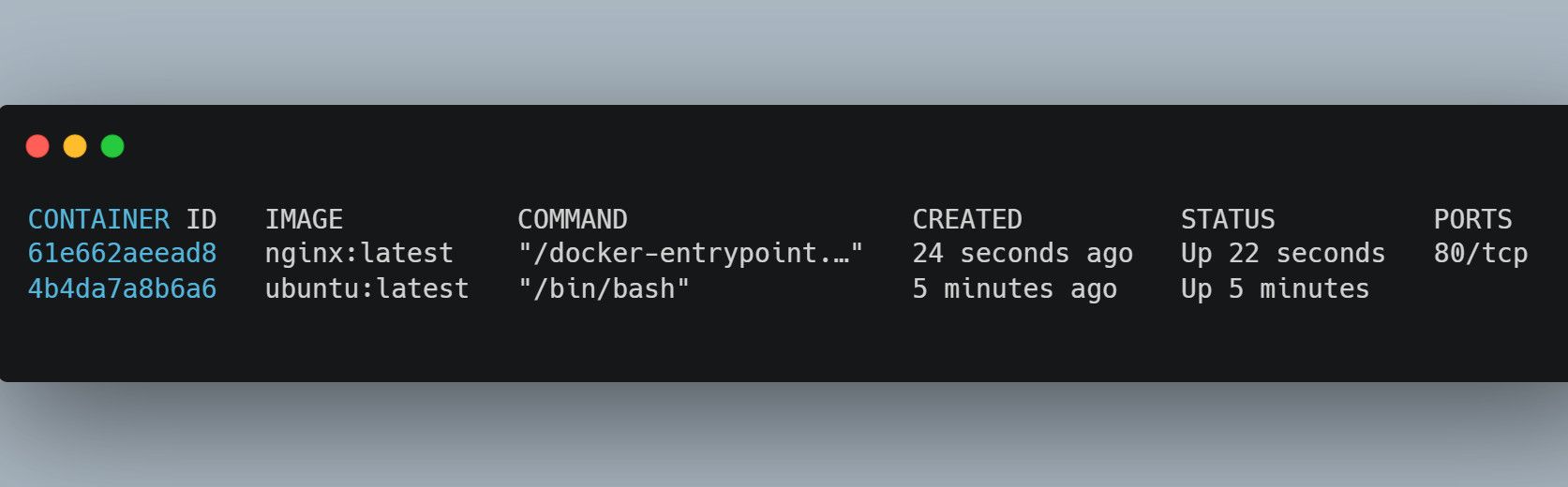 /th/images/details-of-running-containers-on-docker-cli.jpg /th/images/details-of-running-containers-on-docker-cli.jpg