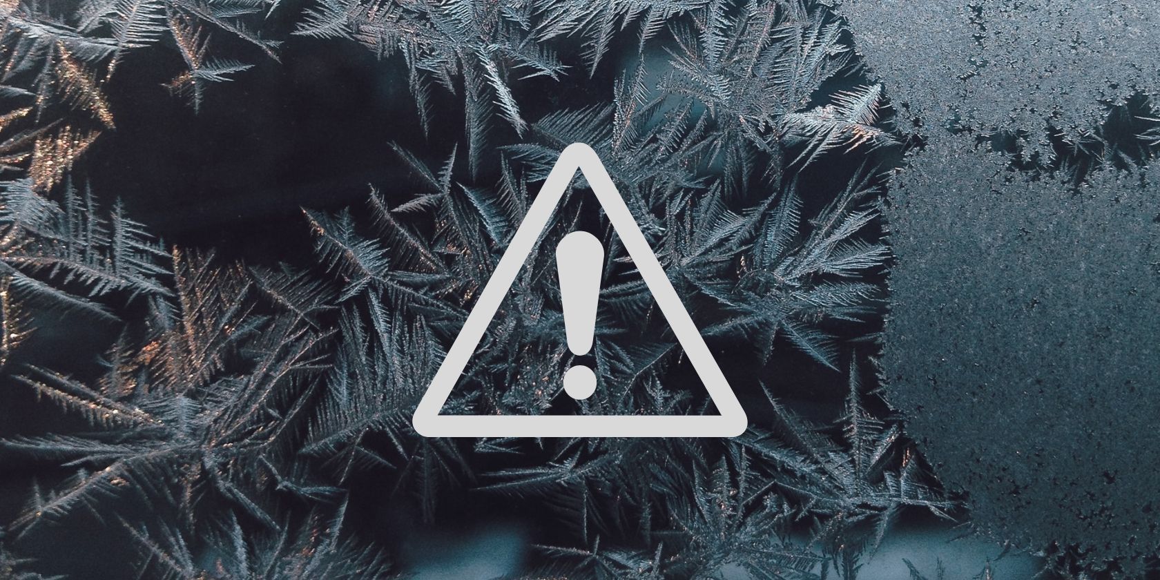 /th/images/frost-alert-1.jpg /th/images/frost-alert-1.jpg
