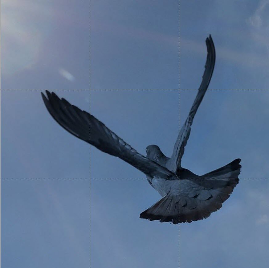 /th/images/instagram-photo.jpg /th/images/instagram-photo.jpg