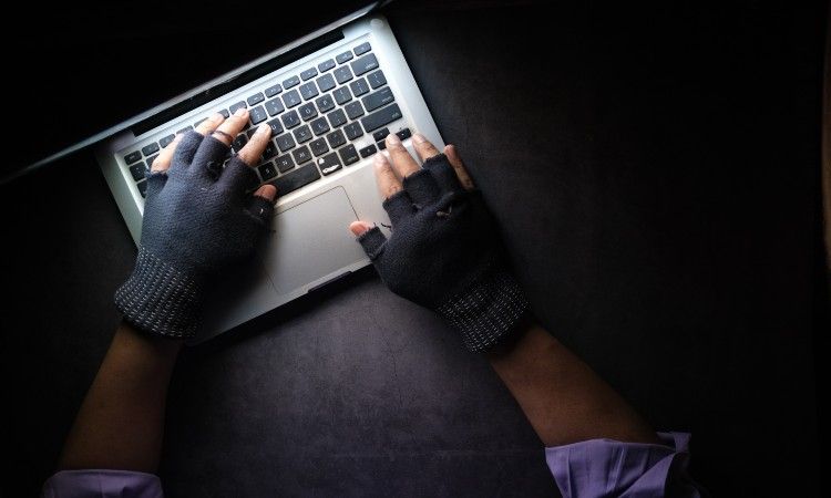 /th/images/man-wearing-dark-fingerless-gloves-typing-on-laptop-in-dark-room.jpg /th/images/man-wearing-dark-fingerless-gloves-typing-on-laptop-in-dark-room.jpg