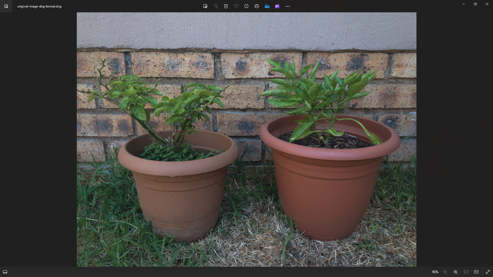 /th/images/original-image-dng-format.png /th/images/original-image-dng-format.png