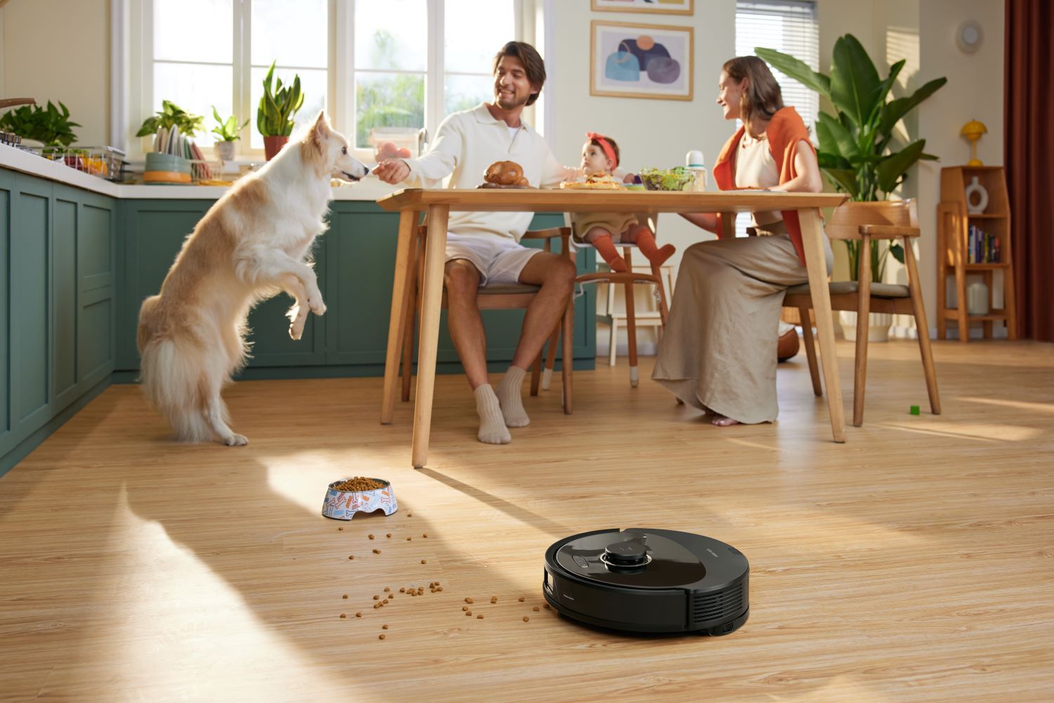 /th/images/roborock-q8-max-plus.jpg /th/images/roborock-q8-max-plus.jpg