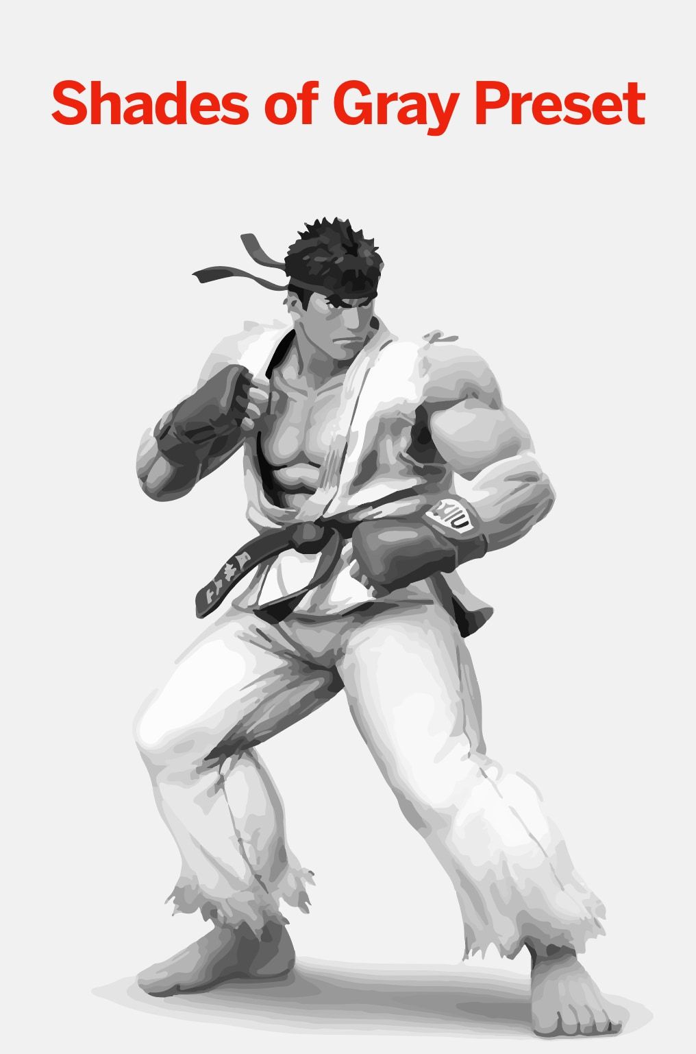 /th/images/shades-of-gray-preset.jpg