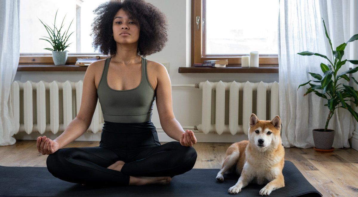 /th/images/woman-doing-yoga-next-to-dog.jpg /th/images/woman-doing-yoga-next-to-dog.jpg