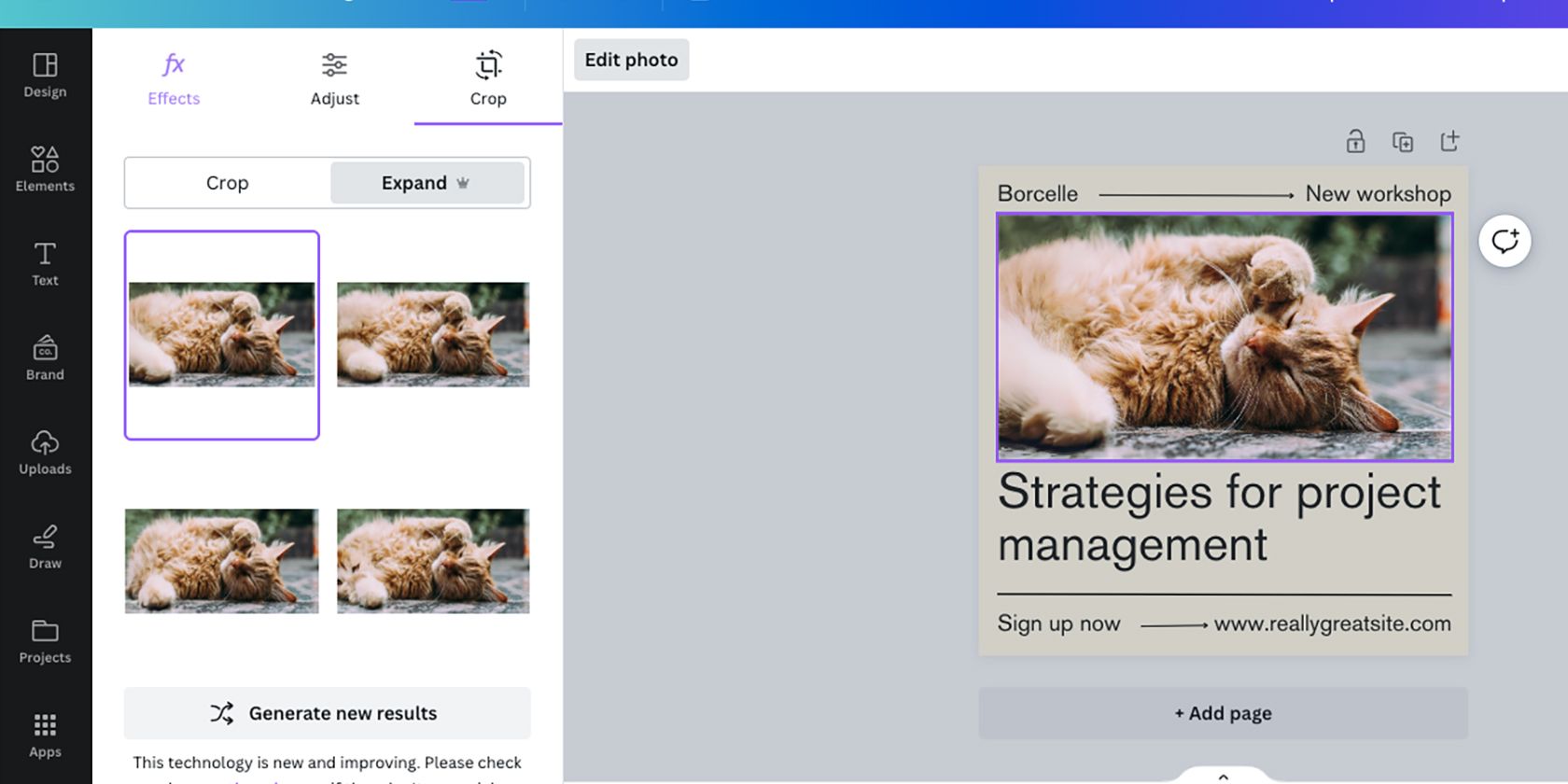 /vi/images/canva-magic-expand-generated-results.jpg /vi/images/canva-magic-expand-generated-results.jpg