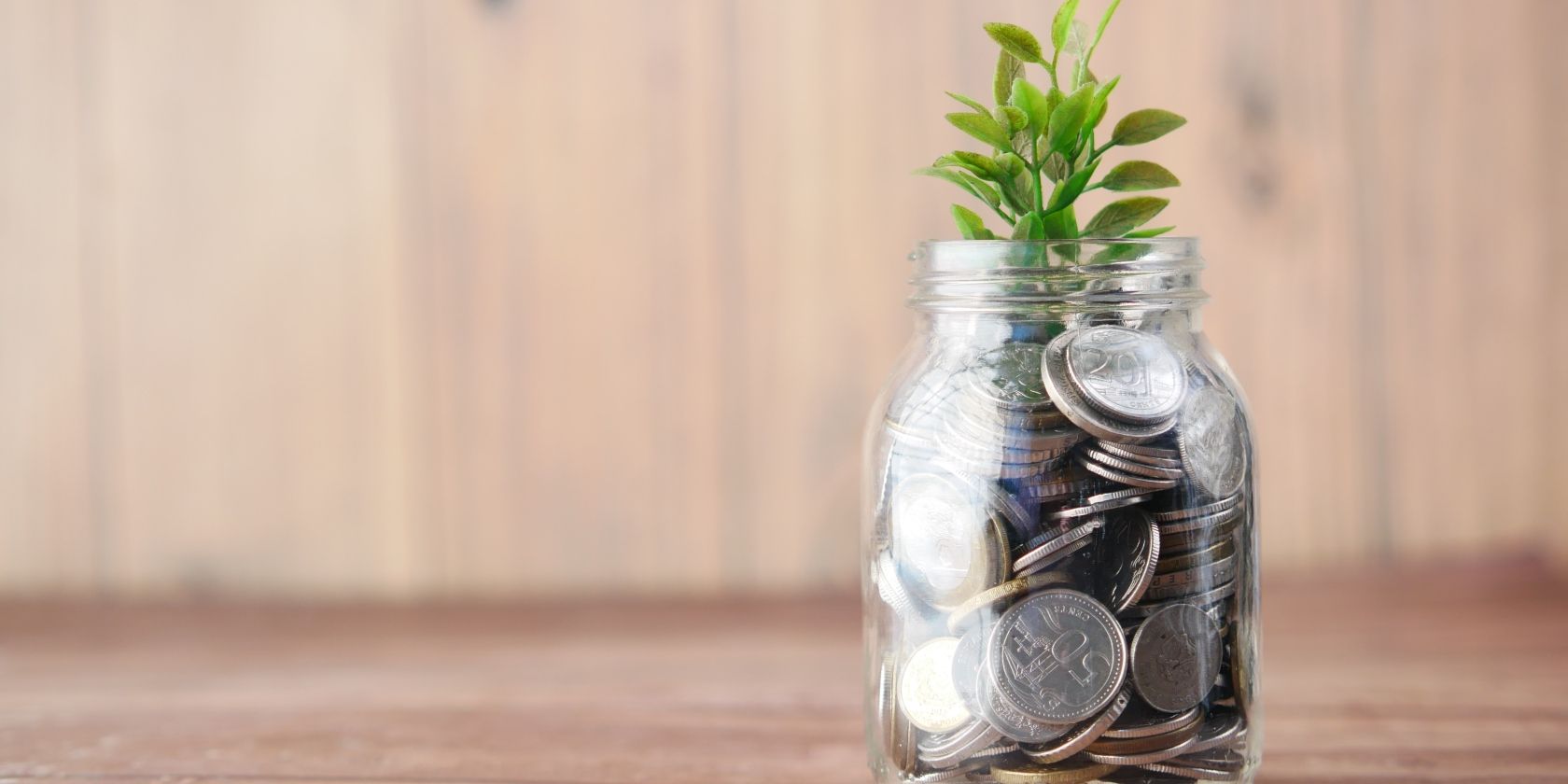 /vi/images/glass-filled-with-coins-and-plant-growing-out-of-it.jpg