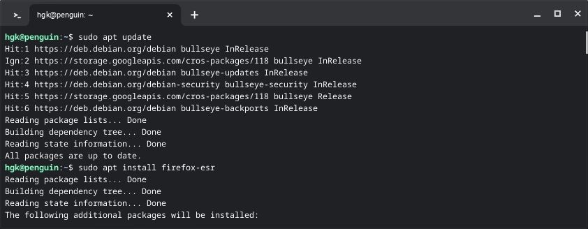 /vi/images/installing-firefox-esr-through-the-chromeos-linux-environment-terminal.jpg /vi/images/installing-firefox-esr-through-the-chromeos-linux-environment-terminal.jpg