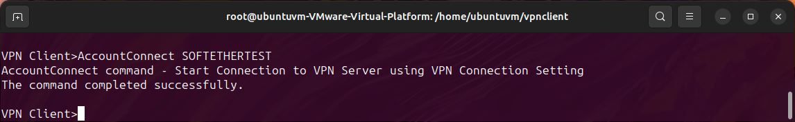 /vi/images/linux-terminal-softether-vpncmd-accountconnect.jpg