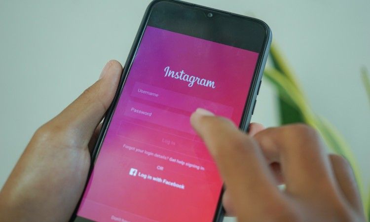 /vi/images/person-logging-into-instagram.jpg