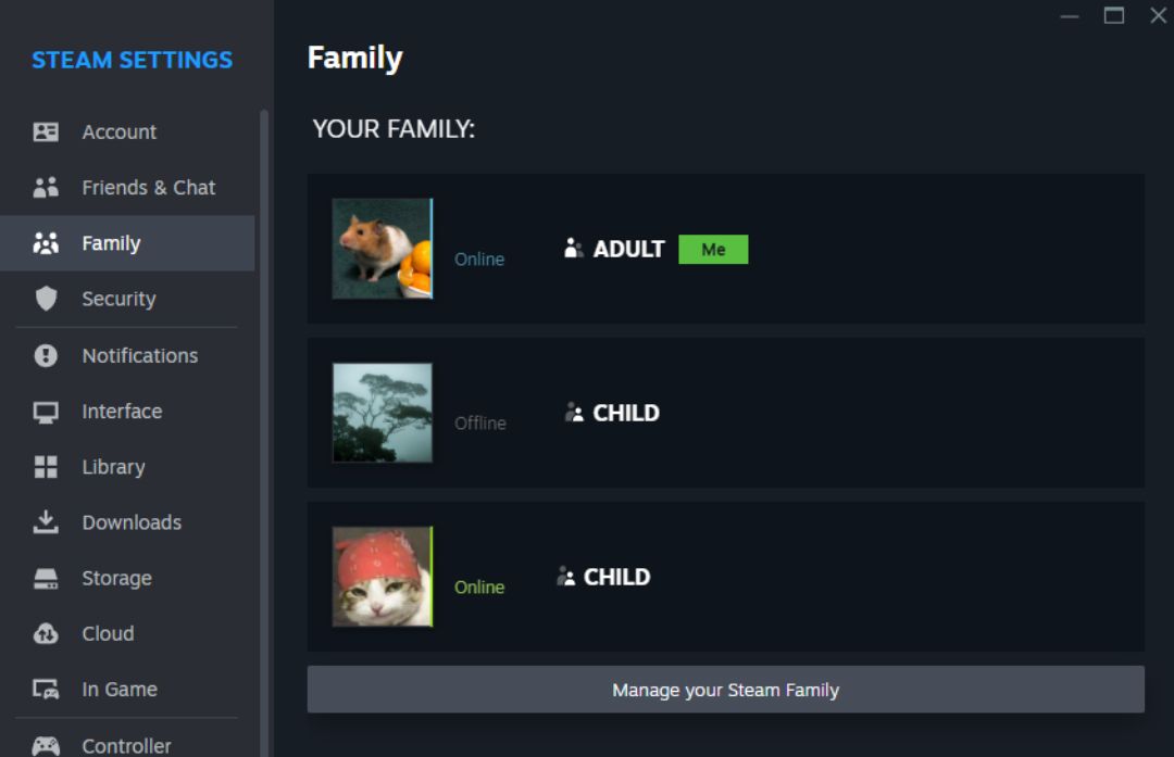 /vi/images/steam-family-section-in-settings.jpg /vi/images/steam-family-section-in-settings.jpg