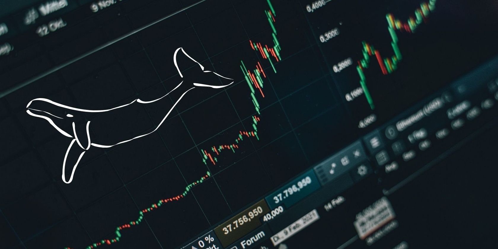 /vi/images/whale-crypto-stats.jpg /vi/images/whale-crypto-stats.jpg